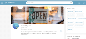 is Parler good for Business 