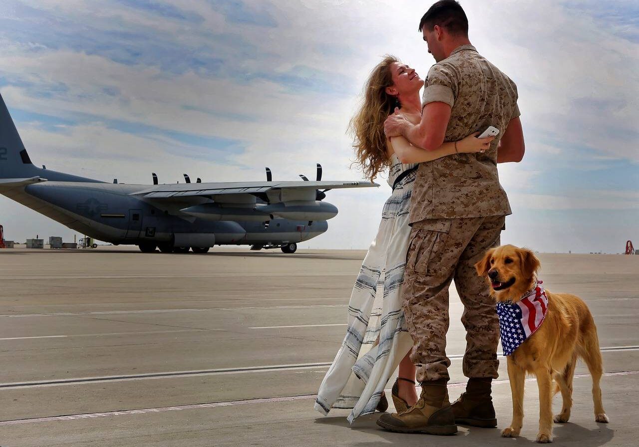 contect the owned by vets network